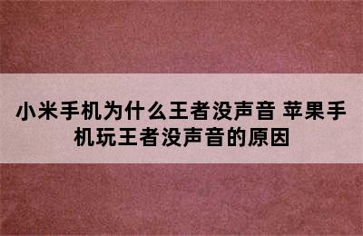 小米手机为什么王者没声音 苹果手机玩王者没声音的原因